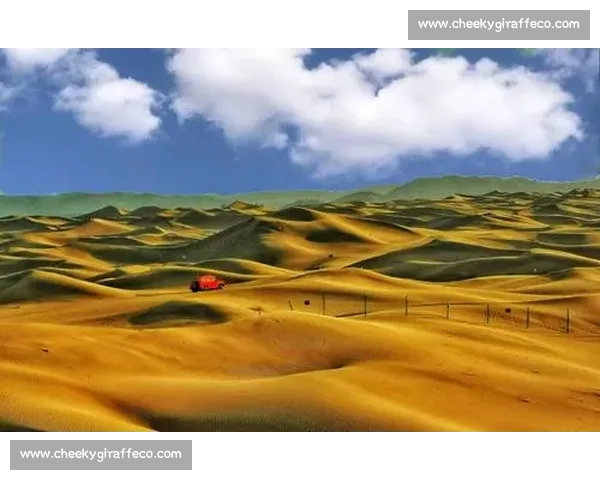 佳能摄影大赛盛况：展现创意与技术的视觉艺术盛宴